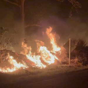 Queimadas às margens da BR-429 preocupam motoristas e moradores na Zona da Mata