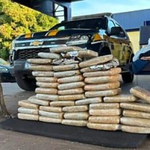 Traficante receberia R$ 10 mil para transportar 63 kg de supermaconha em MT | Power Mix