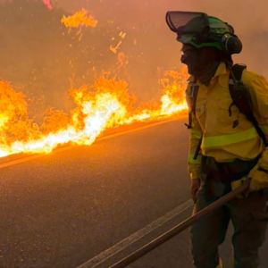 Incêndio florestal na Espanha deixa ao menos 12 mortos, diz autoridade