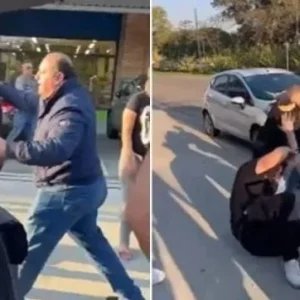 VEJA O VÍDEO: deputado é atacado enquanto colocava animais apreendidos em veículo