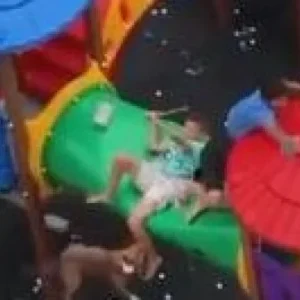 VEJA O VÍDEO: Pitbulls invadem parquinho, atacam crianças e espalham pânico durante brincadeira
