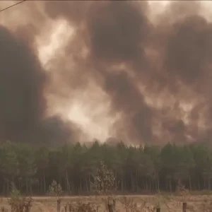 Incêndios florestais avançam e ameaçam Bordeaux, na França