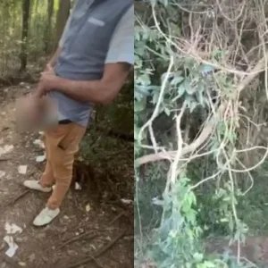 “Virou motel a céu aberto?” Bosque é alvo de denúncias por práticas sexuais em área pública; VEJA O VÍDEO