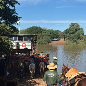 Fiscais estaduais garantem a certificação sanitária 24 horas por dia, sete dias por semana
