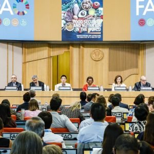 Brasil continua fora do Mapa da Fome, aponta relatório da ONU