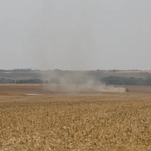 Rastreabilidade pode fortalecer controle ambiental da soja e da carne no Brasil