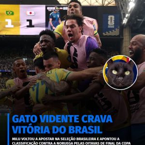 O famoso gato vidente fez sua previsão para Brasil x Noruega e voltou a escolhe…