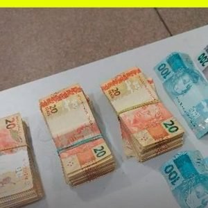 Uma operação da Polícia Militar de Rondônia (PMRO) terminou com a apreensão de … – Instagram