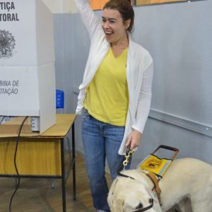 Brasil tem quase 2 milhões de eleitores com deficiência, aponta TSE