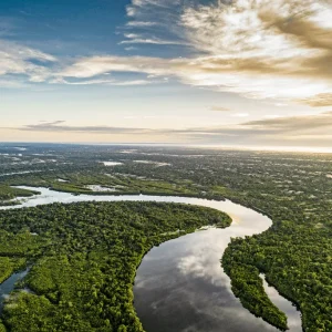 No topo da Amazônia Legal, Mato Grosso lidera ranking ambiental, mas deixa ativistas vulneráveis