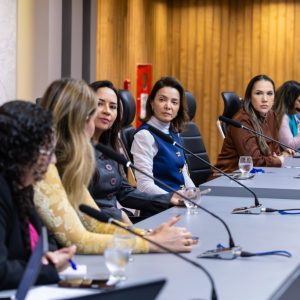 Assembleia sedia reunião da Rede de Enfrentamento à Violência Doméstica e reforça atuação integrada