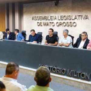 Audiência na ALMT reúne autoridades e municípios para definir proposta de acordo sobre áreas de divisa entre Mato Grosso e Pará