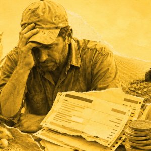 Inadimplência no agro sobe para 8,8%, maior patamar da série histórica