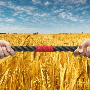 Mato Grosso cria tribunal de conciliação para evitar que “guerra de bilhões” do agro pare na Justiça