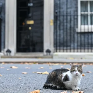 Gato Larry servirá seu sétimo primeiro-ministro após posse de Andy Burnham