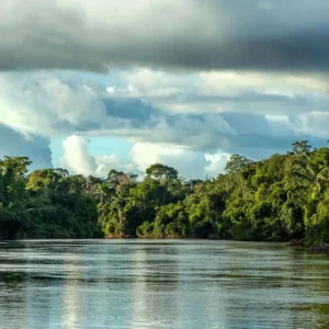 Ministério Público Federal aciona Justiça contra acordo que reduz área do Parque Estadual Cristalino II em Mato Grosso