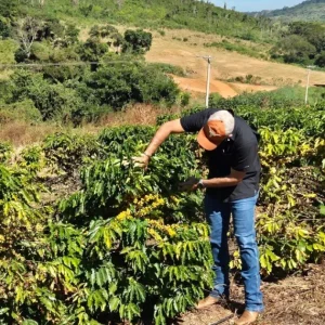 Crédito rural vira ferramenta de expansão de terras para produtores
