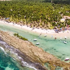 Barulho de barco e de turistas afeta comunicação de peixes, diz estudo