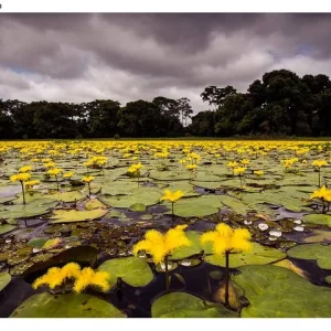 Proposta prevê regras para exploração comercial em áreas turísticas naturais de Mato Grosso