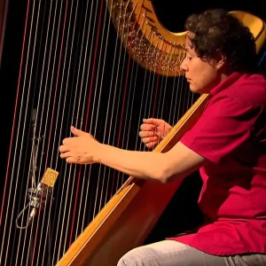 Festival Internacional de Harpas leva concertos gratuitos ao Rio