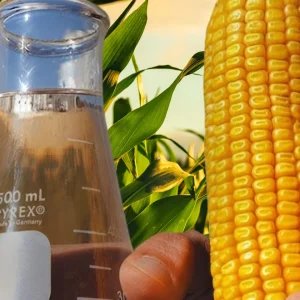 Elevação da mistura de etanol na gasolina impulsiona produção em Mato Grosso