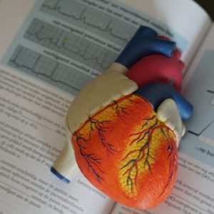 O colesterol de origem genética que a estatina não baixa (e que pode triplicar o risco de infarto)