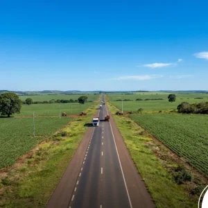 Governo de Mato Grosso lança licitação de R$ 56 milhões para pavimentar 33 km da MT-493 em Boa Esperança do Norte