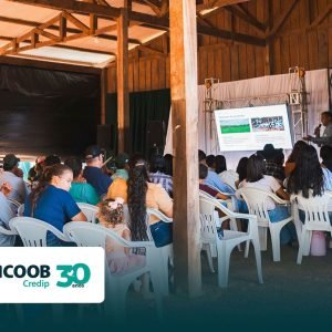 Sicoob Credip reúne produtores em Dia de Campo sobre pecuária leiteira em MT