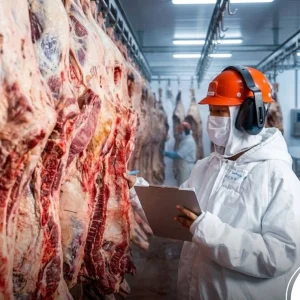 Mato Grosso quebra recorde e fatura US$ 2,4 bilhões com exportação de carne bovina no semestre