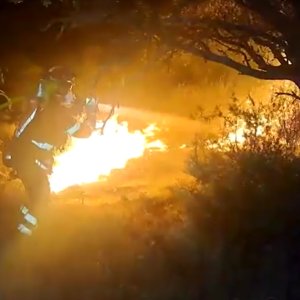 Equipes da Espanha combatem o maior incêndio florestal na história recente