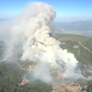 Bombeiros trabalham para conter incêndio florestal na Turquia