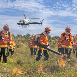 Período proibitivo do uso do fogo começa em Mato Grosso nesta quarta-feira