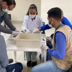 Agentes de 13 municípios de Mato Grosso participam de força-tarefa contra doenças transmitidas por caramujos