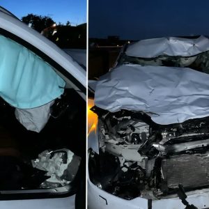 Médico tem carro destruído após bater em touro durante viagem na BR-163 em Nova Mutum; veja vídeo