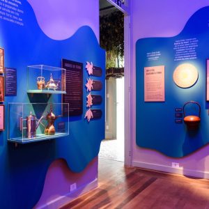 Exposição O Tempo das Plantas propõe troca cultural e desaceleração