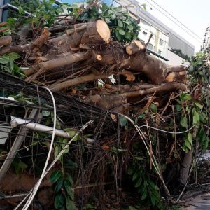 Ventania em RJ, SP e RS expõe falhas na resposta a extremos climáticos