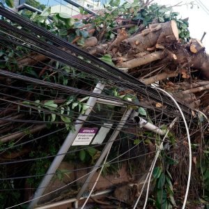 Mais de 200 mil continuam sem energia no Rio após vendaval