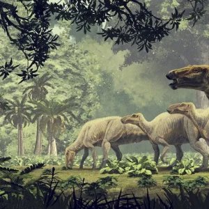 Estudo revela composição do asteroide da extinção dos dinossauros