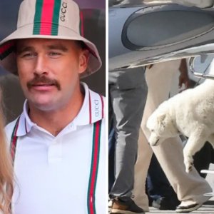 Taylor Swift e Travis Kelce adotaram um novo cachorro? Entenda