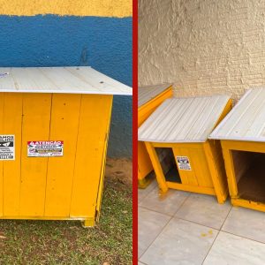 VÍDEO: voluntários constroem abrigos para cães e gatos de rua com material reciclado em MT