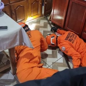 Maior lagarto do Brasil, teiú é resgatado escondido embaixo de armário