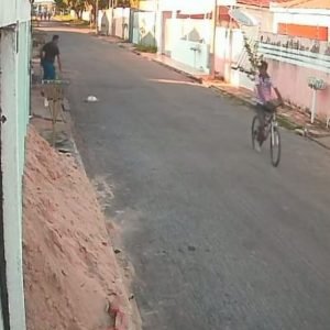 Câmeras de segurança flagram homem agredindo gato até a morte em Cáceres (MT)