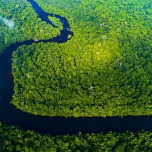 MPF contesta acordo que reduz área do Parque Estadual Cristalino II