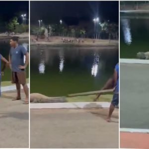 VÍDEO: grupo agride jacaré com pedaço de madeira para expulsá-lo de área em parque de MT