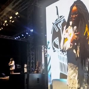 “Racismo foi reduzido a chamar alguém de macaco”, critica escritora