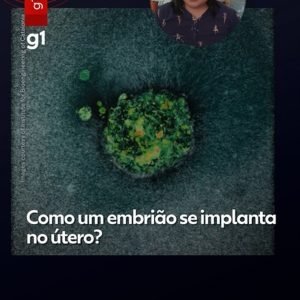 Como um embrião se implanta no útero?