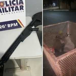 Homem “caça” gatos com airsoft e deixa animais agonizando em lixeira em Nova Mutum; vídeo | RepórterMT
