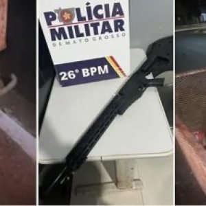 VÍDEO: Homem é preso por atirar em gatos com ‘arma de brinquedo’; um animal morreu