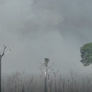 VÍDEO: fumaça de incêndio encobre cidades do norte de MT