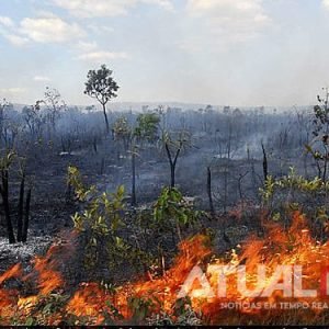 Mato Grosso registra cinco incêndios florestais e mantém bombeiros em operação